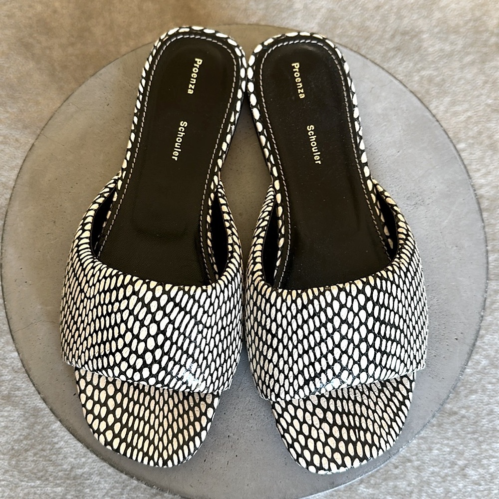 Fab Proenza Schouler Slides